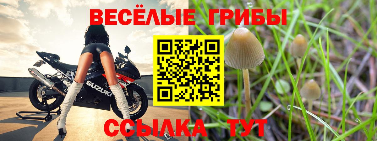 Галлюциногенные грибы GOLDEN TEACHER Унеча